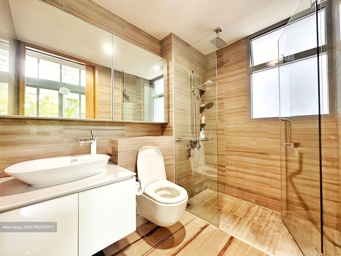 Mon Jervois (D10), Condominium #604520071